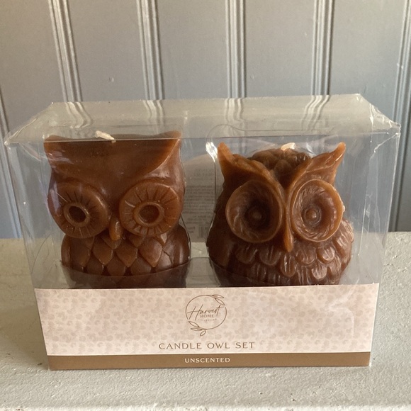 BNIB- 4.7"- Hand Carved- Unscented- 2 Pack- Brown Owl Figural Candles Decor Set - Picture 9 of 17